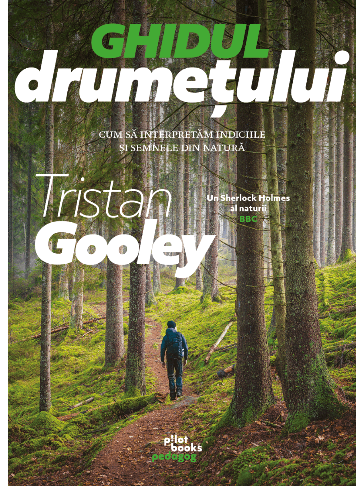 Ghidul drumețului. Cum să interpretăm indiciile și semnele din natură