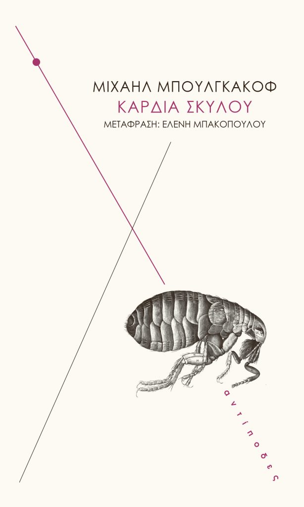 Καρδιά σκύλου