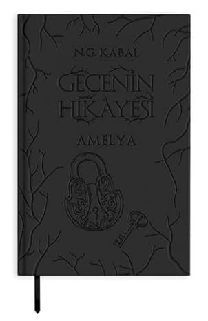 Gecenin Hikayesi - Amelya