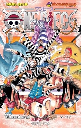 One Piece 55. Cilt