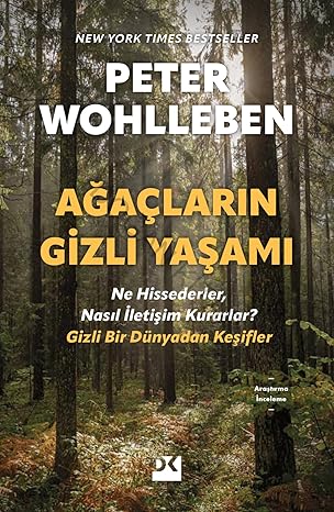 Ağaçların Gizli Yaşamı: Ne Hissederler, Nasıl İletişim Kurarlar – Gizli Bir Dünyadan Keşifler