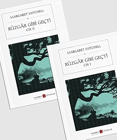 Rüzgar Gibi Geçti