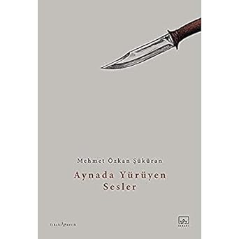 Aynada Yürüyen Sesler