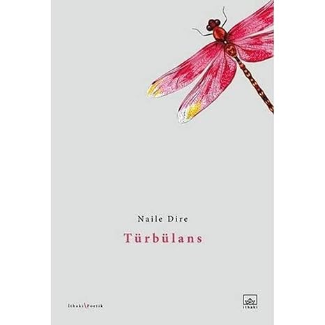 Türbülans
