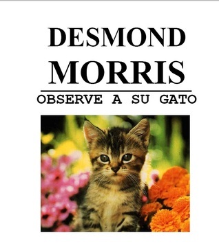 Observe a su gato