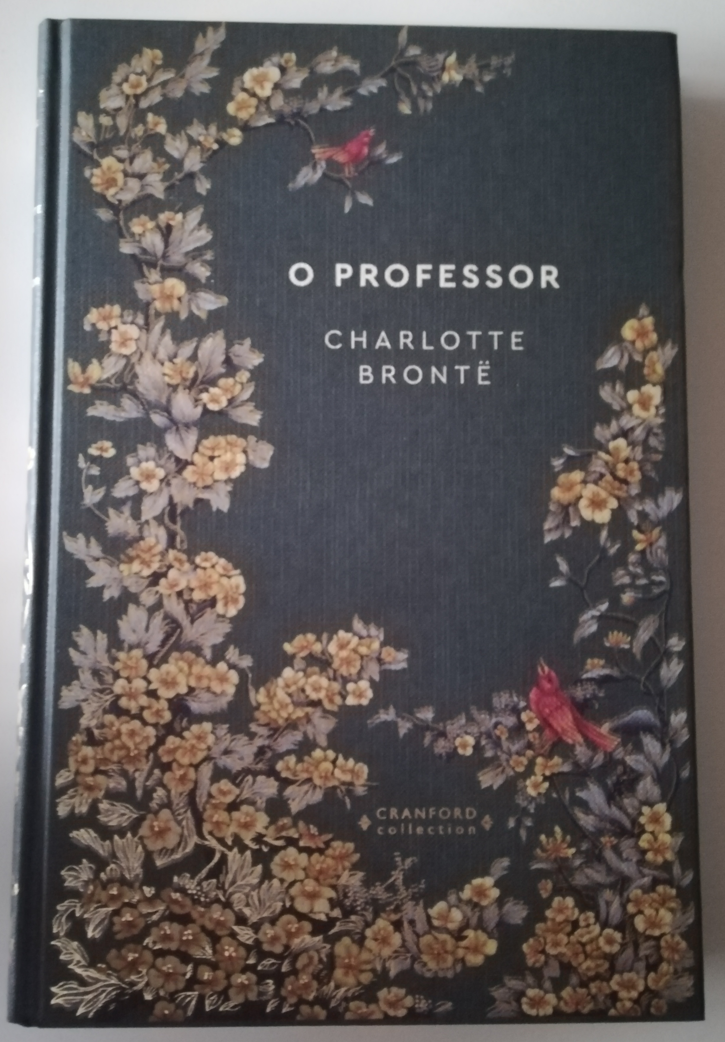 O Professor