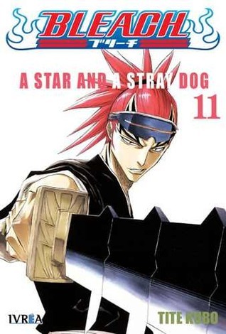 Bleach, tomo 11: A Star and a Stray Dog