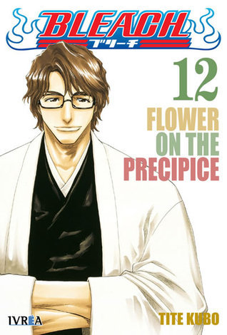 Bleach, tomo 12: Flower on The Precipice