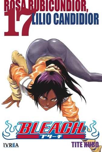 Bleach, tomo 17: Rosa Rubicundior, Lilio Candidior