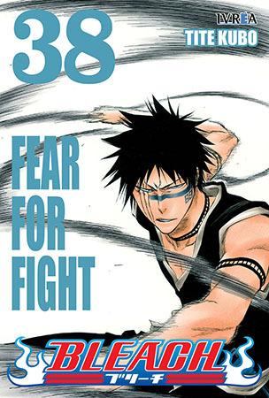 Bleach, tomo 38: Fear for Fight