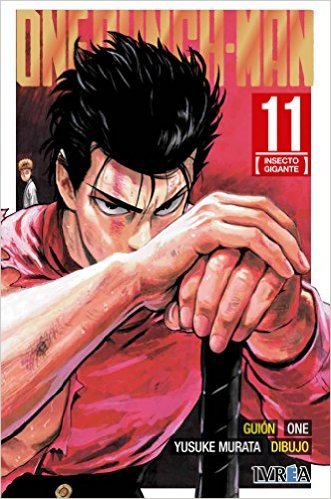 One Punch Man 11