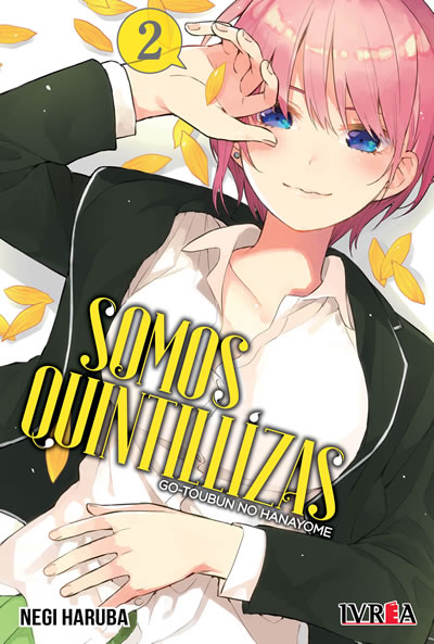 Somos quintillizas, tomo 2