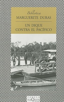 Un dique contra el Pacífico
