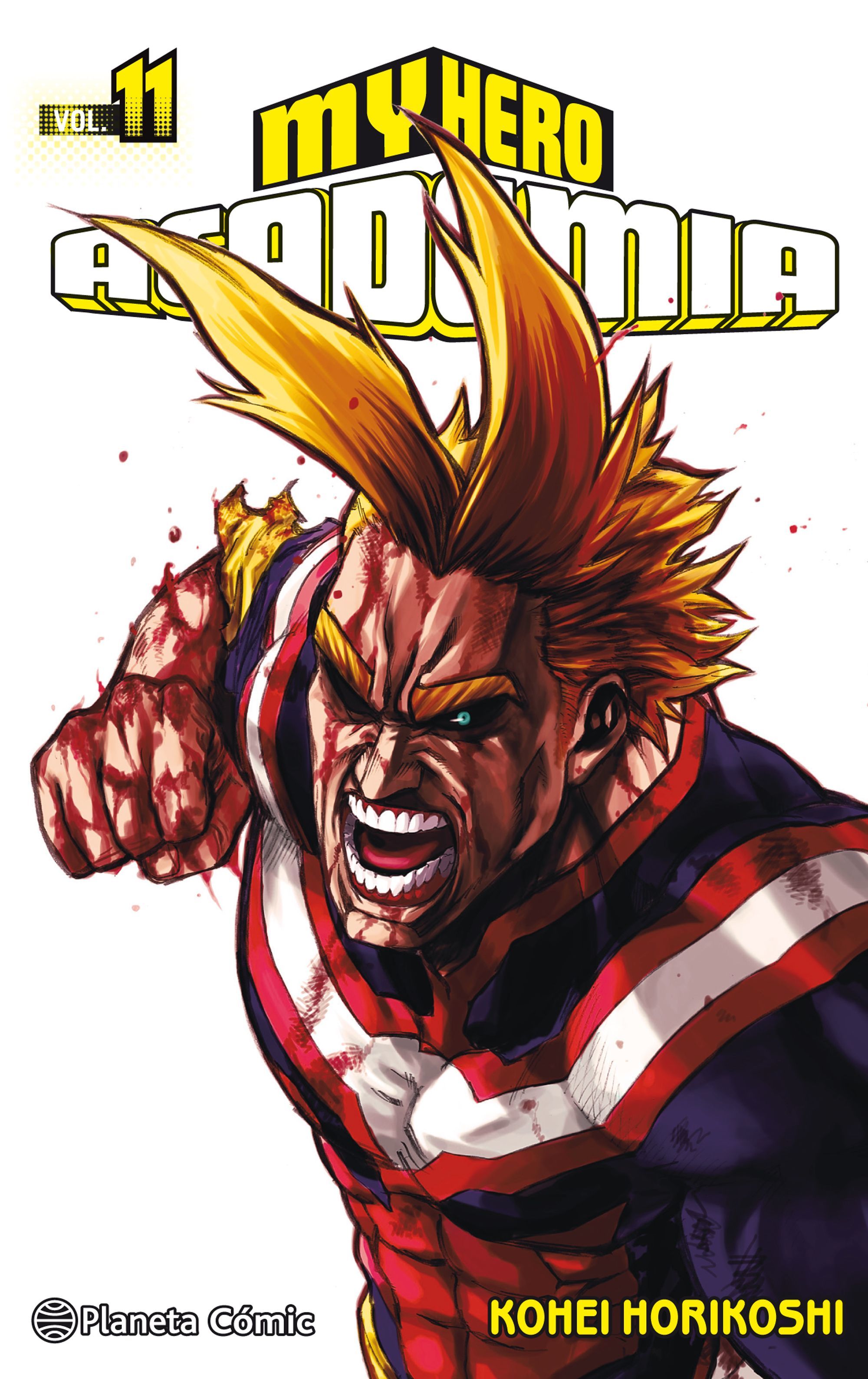 My Hero Academia 11