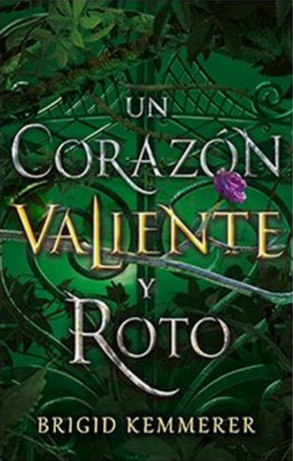 Un corazón valiente y roto