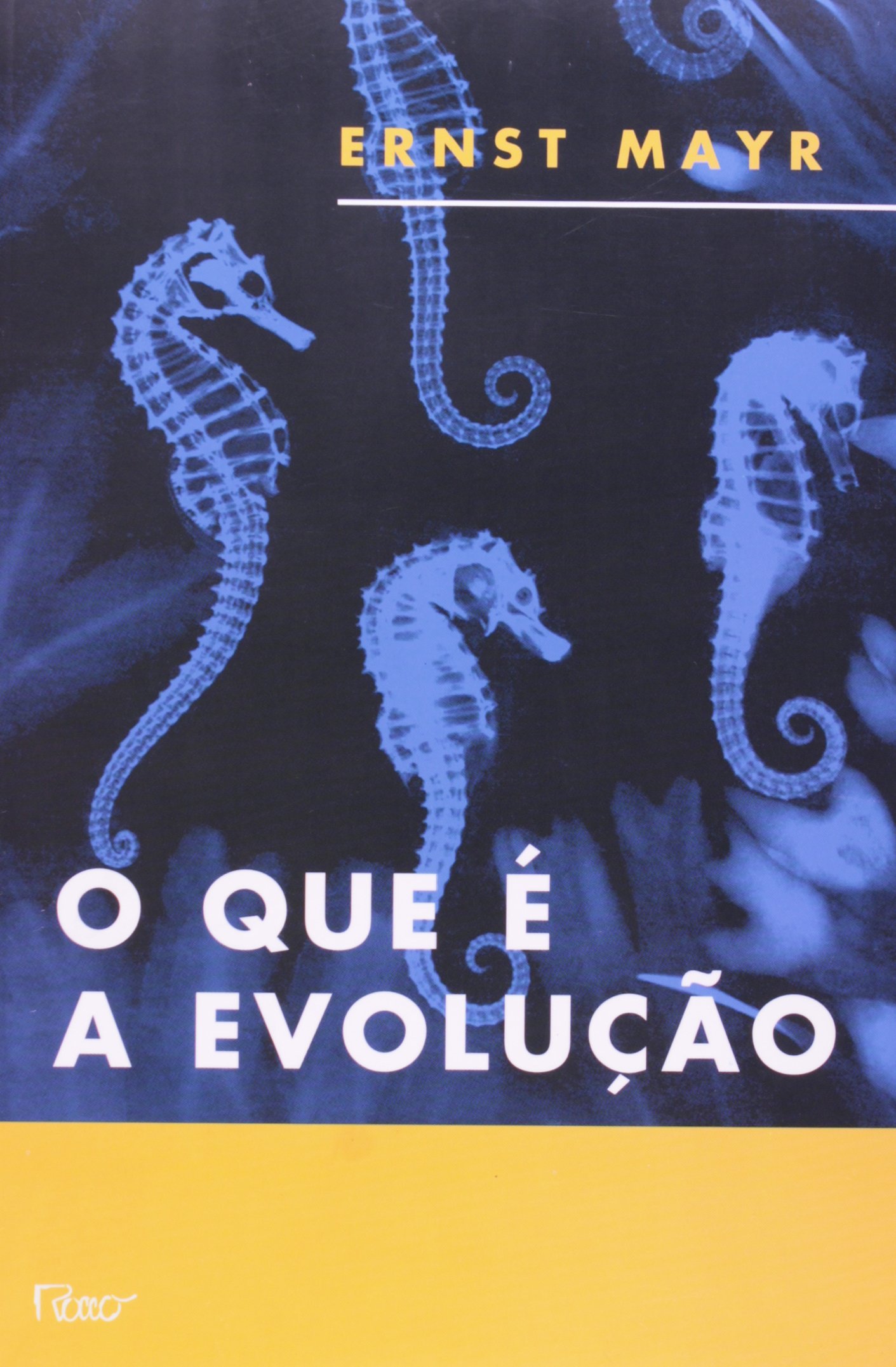 O que é a evolução