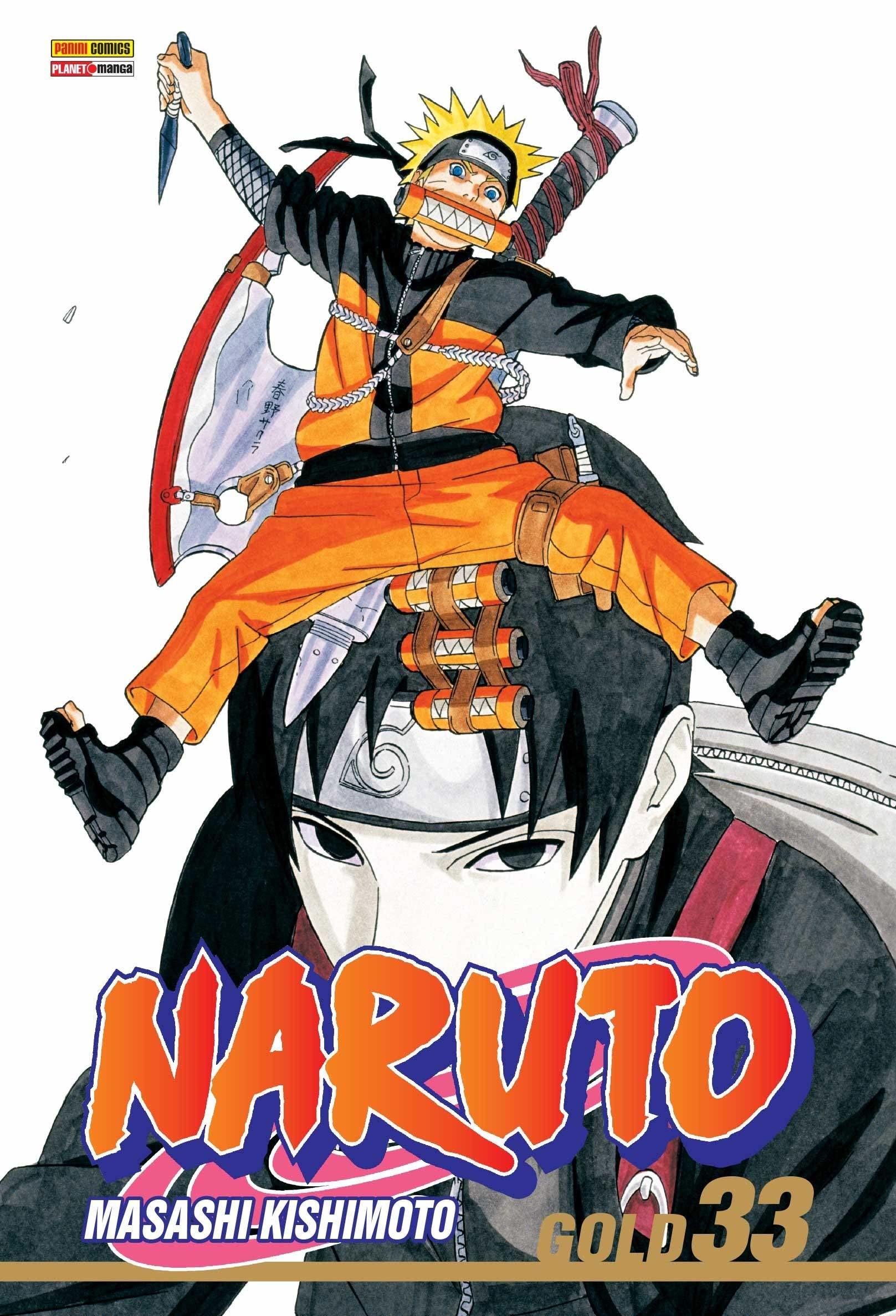 Naruto, Vol. 33: Missão secreta...!!