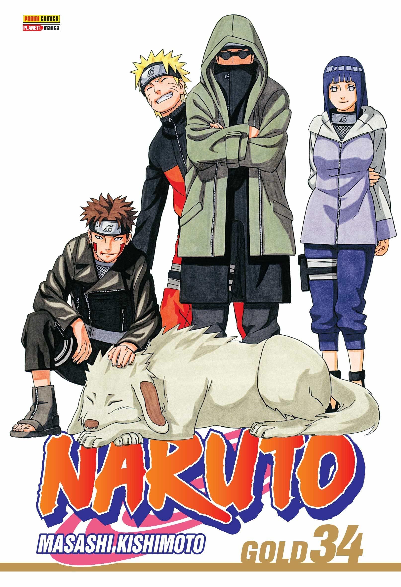 Naruto, Vol. 34: O momento do reencontro...!!