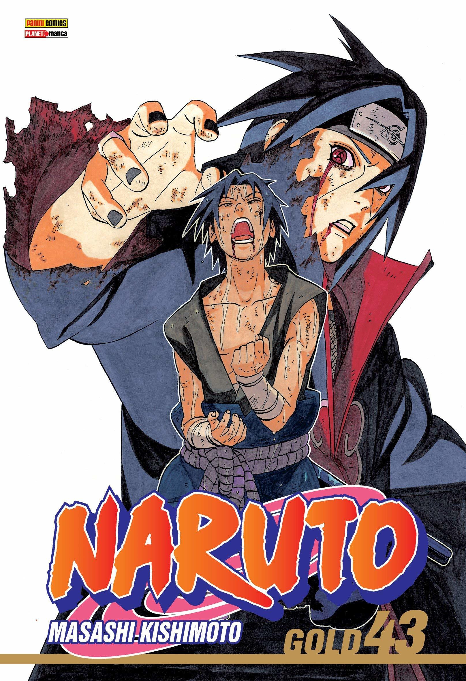 Naruto, Vol. 43: Aquele que conhece a verdade
