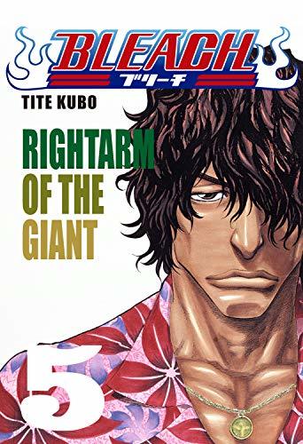 Bleach vol. 5