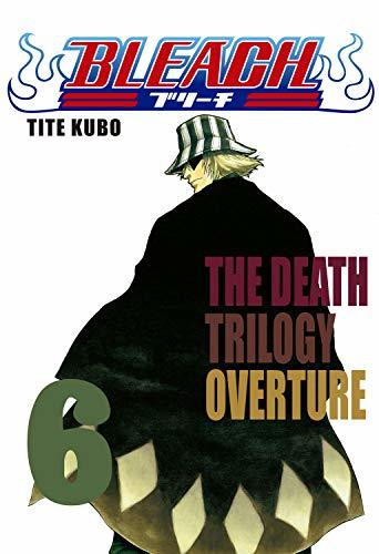 Bleach vol. 6