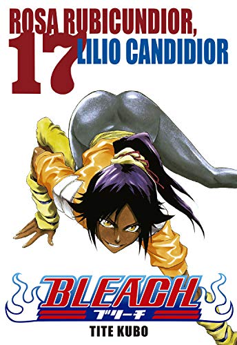 Bleach vol. 17