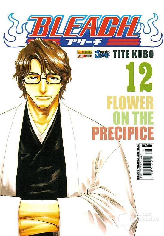 Bleach, Vol. 12: Flower on a Precipice
