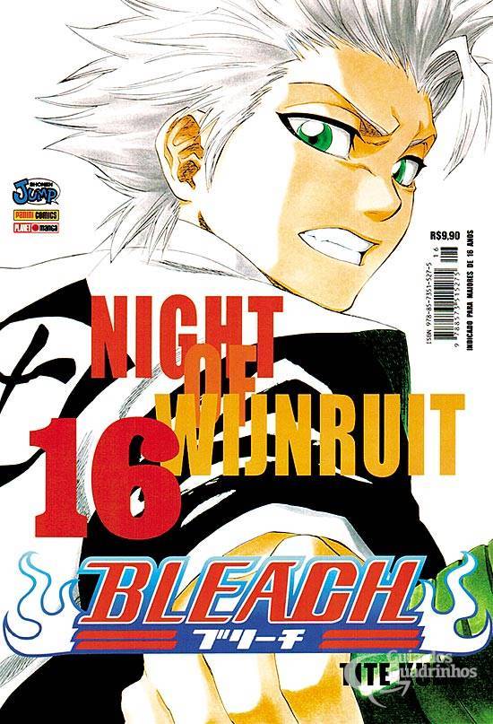 Bleach Vol. 16: Night of Wijnruit