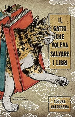 IL Gatto Che VOLEVA SALVARE I LIBRI