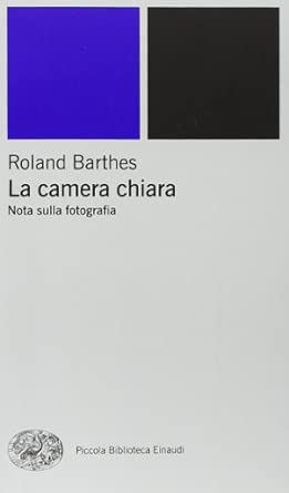 La camera chiara. Nota sulla fotografia. Ediz. illustrata
