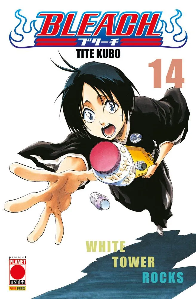Bleach, Vol. 14: White Tower Rocks