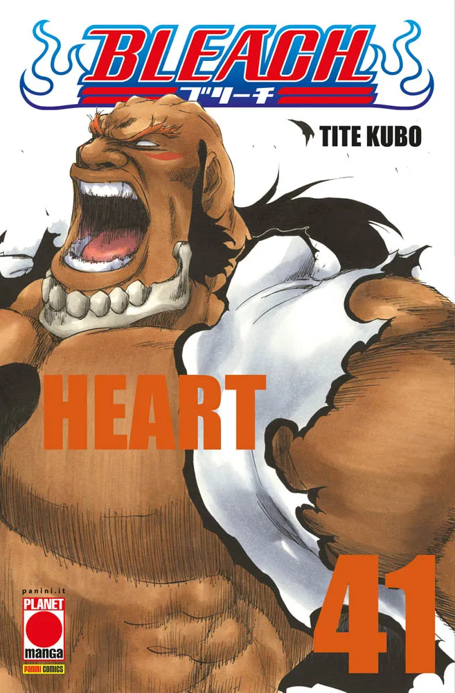 Bleach, Vol. 41: Heart