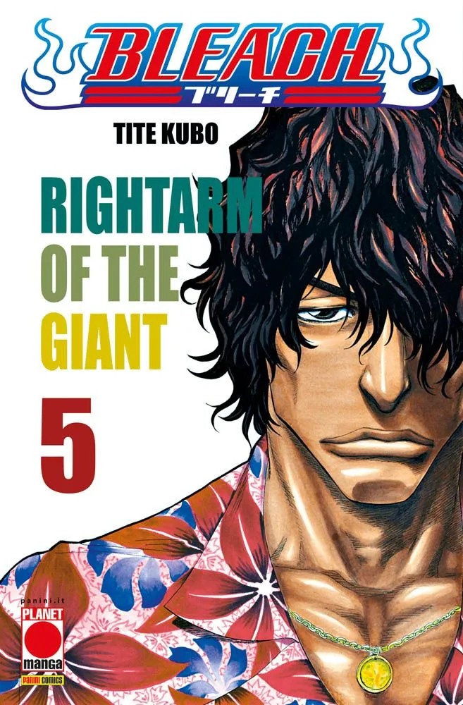 Bleach, Vol. 5: Rightarm of the Giant