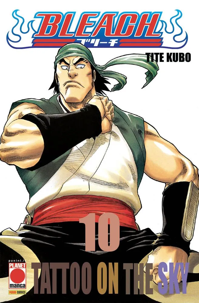 Bleach, Vol. 10: Tattoo on the Sky