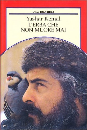 L'erba che non muore mai