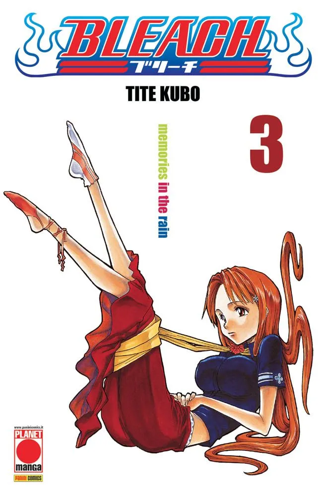 Bleach, Vol. 3: Memories in the Rain