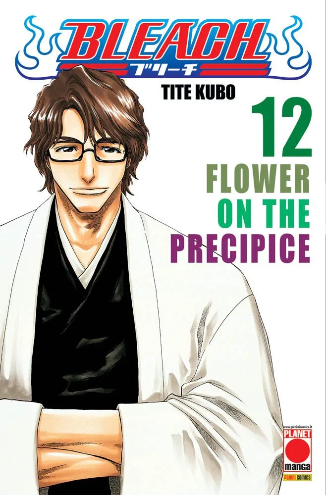 Bleach, Vol. 12: Flower on the Precipice