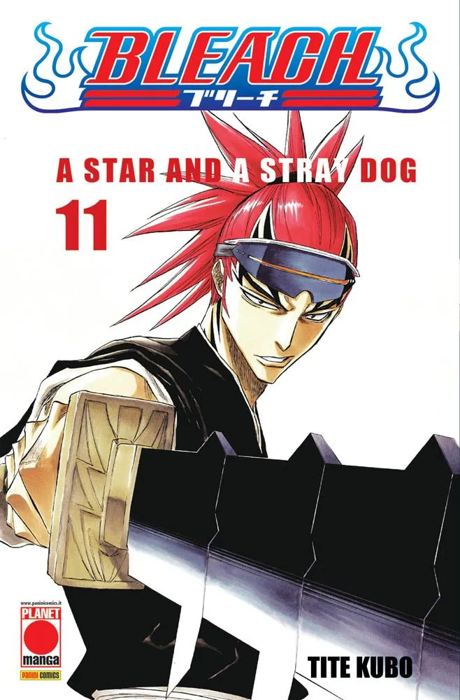 Bleach, Vol. 11: A Star and a Stray Dog