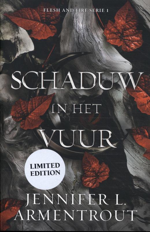 Schaduw in het Vuur