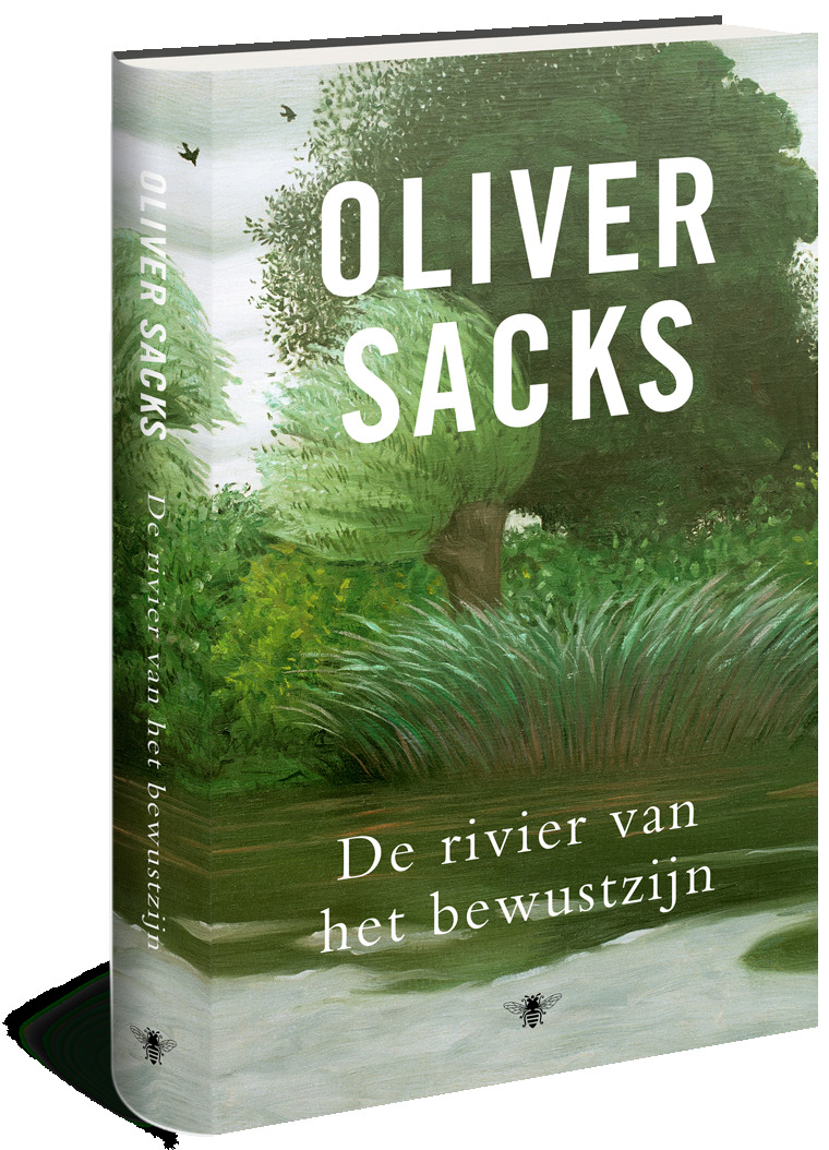 De rivier van het bewustzijn