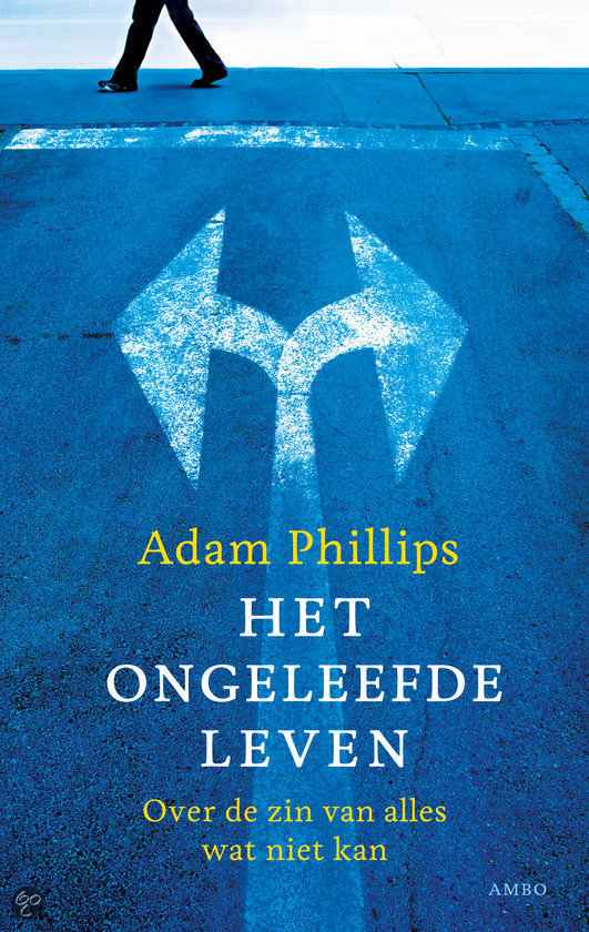 Het ongeleefde leven: Over de zin van alles wat niet kan