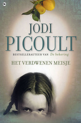 Het verdwenen meisje