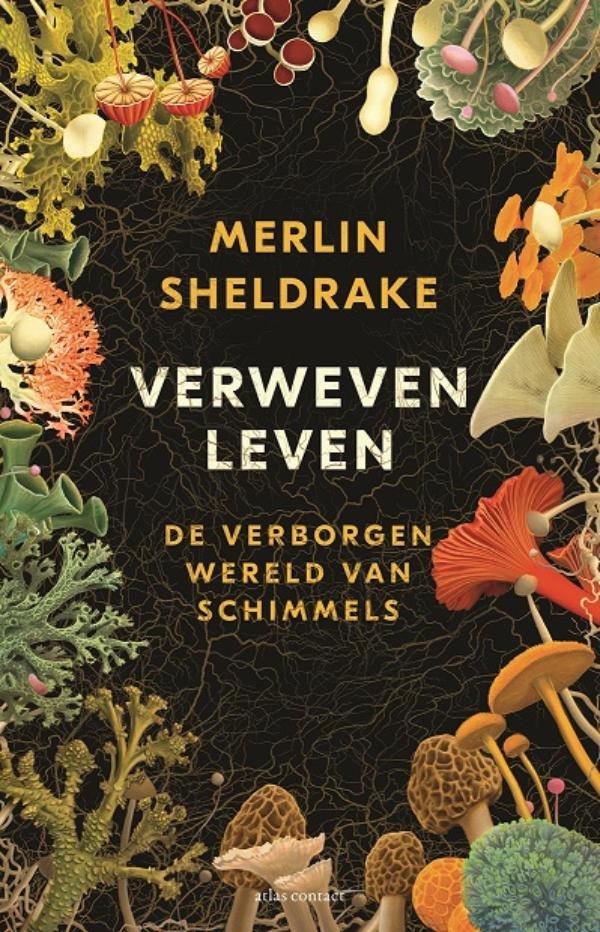 Verweven leven: De verborgen wereld van schimmels