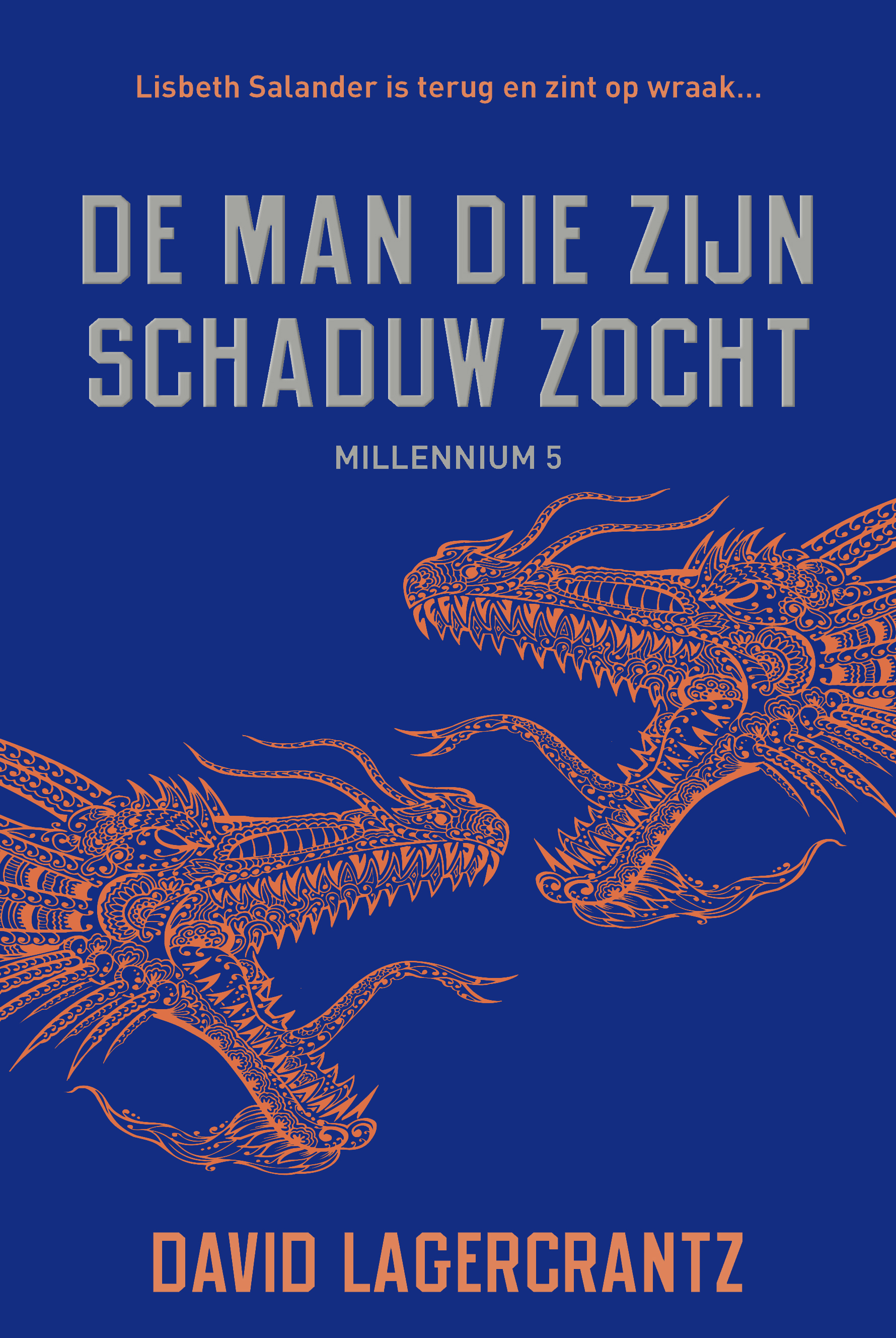 De man die zijn schaduw zocht