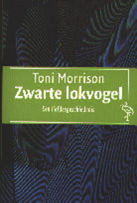 Zwarte lokvogel