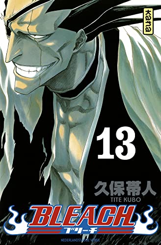 Bleach 13