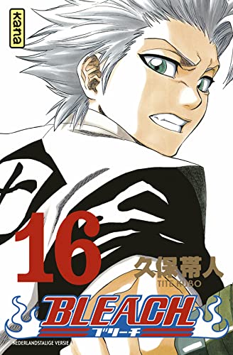 Bleach 16