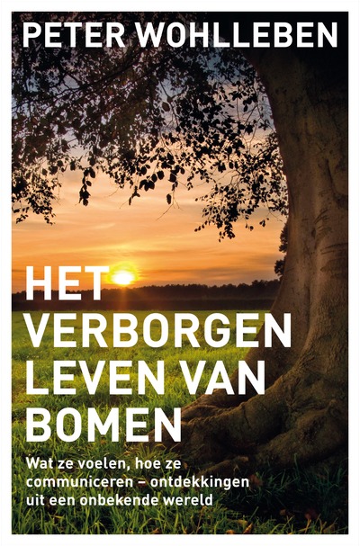 Het verborgen leven van bomen: Wat ze voelen, hoe ze communiceren - ontdekkingen uit een onbekende wereld