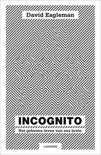 Incognito: het geheime leven van ons brein