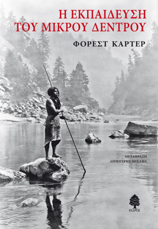 Η εκπαίδευση του μικρού δέντρου